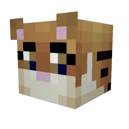 E95Bomb Minecraft avatar head, 3D render