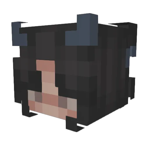 EAA Minecraft avatar head, 3D render