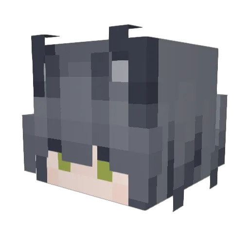 EAOL Minecraft avatar head, 3D render
