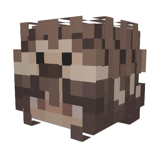 EAPHedgehogLover Minecraft avatar head, 3D render