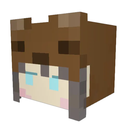 EA___ Minecraft avatar head, 3D render