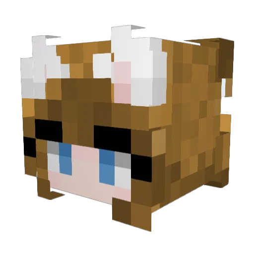 EAndersen Minecraft avatar head, 3D render