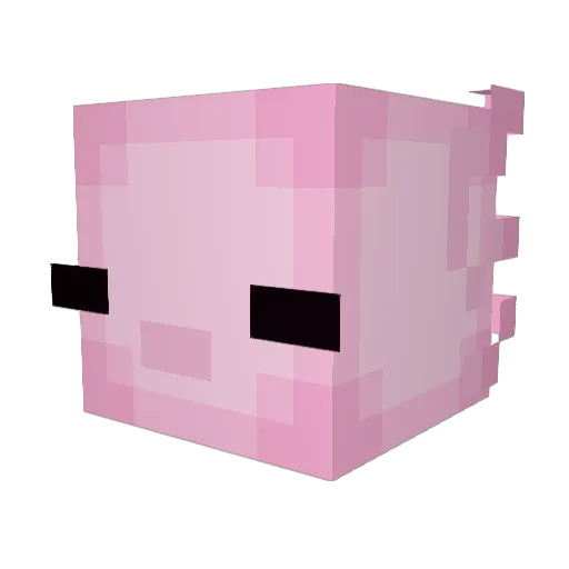 EAsh137 Minecraft avatar head, 3D render