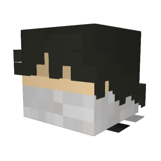 EB20XX Minecraft avatar head, 3D render