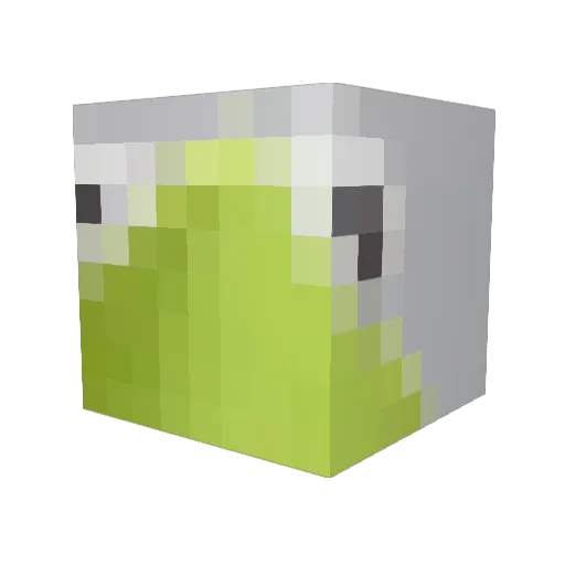 EBLAAAAAAAN Minecraft avatar head, 3D render