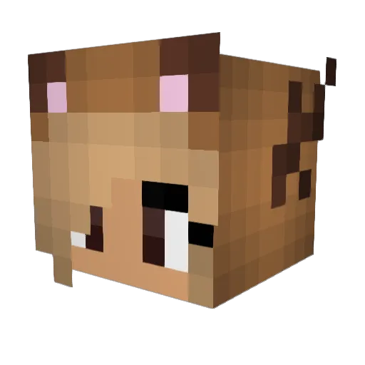 EBelleX Minecraft avatar head, 3D render