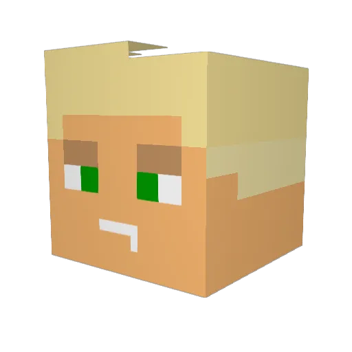 EBrindle8 Minecraft avatar head, 3D render