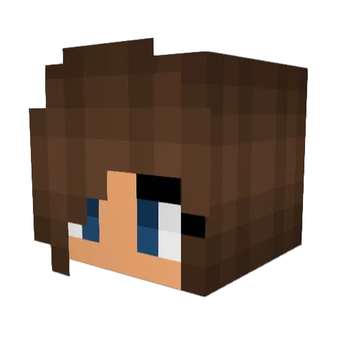 EBrooklyn99 Minecraft avatar head, 3D render