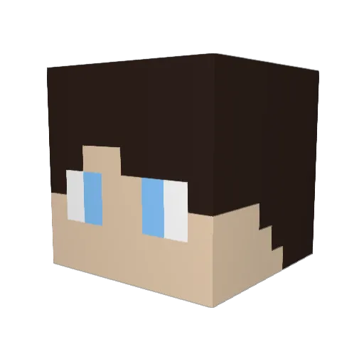 ECA8330 Minecraft avatar head, 3D render