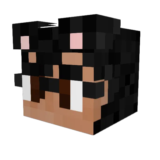 ECH0FIGHTR Minecraft avatar head, 3D render
