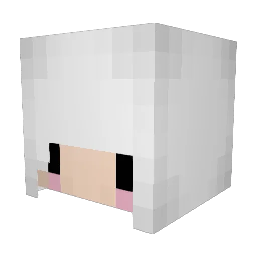 ECHO_460 Minecraft avatar head, 3D render