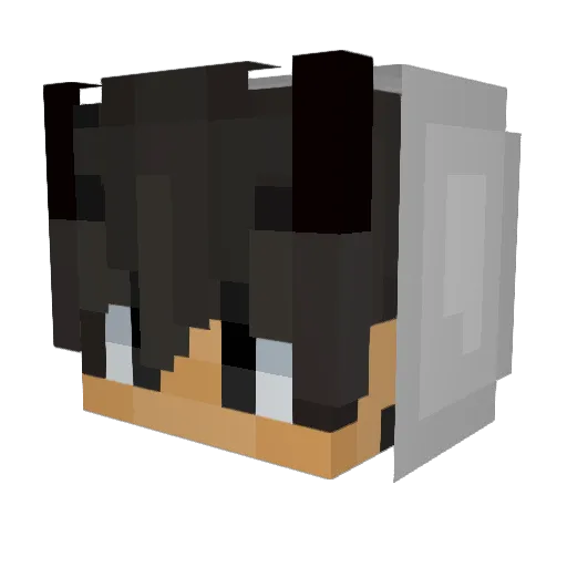ECI941 Minecraft avatar head, 3D render
