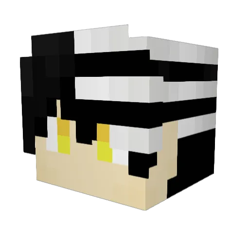 ECLagann Minecraft avatar head, 3D render