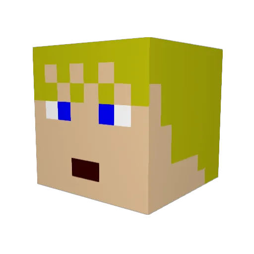 ECP2940 Minecraft avatar head, 3D render