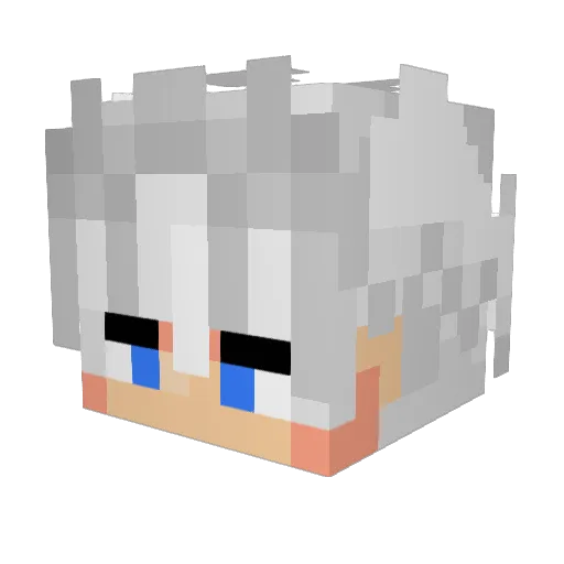 ECUASHREY Minecraft avatar head, 3D render
