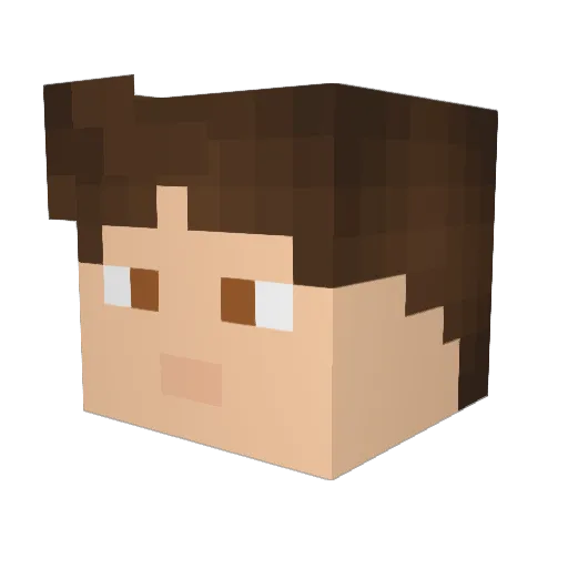 EC_Medewerker Minecraft avatar head, 3D render