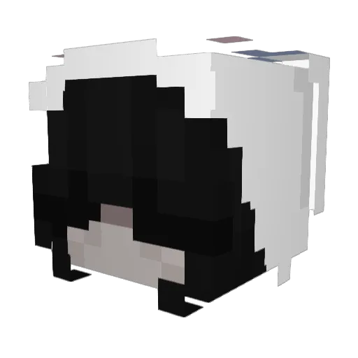 EC_Soup Minecraft avatar head, 3D render