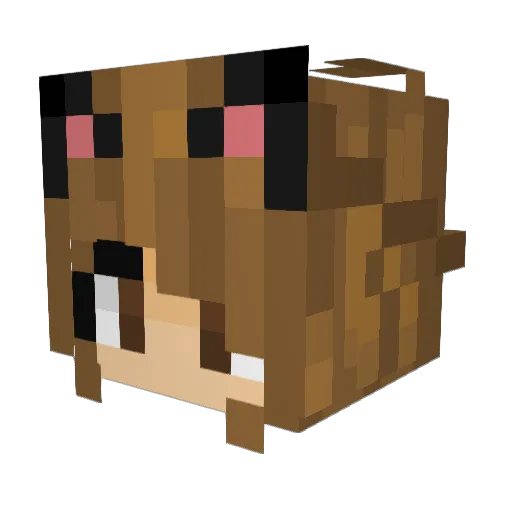 ECat27 Minecraft avatar head, 3D render