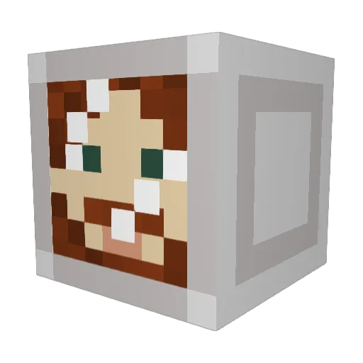 ECross Minecraft avatar head, 3D render