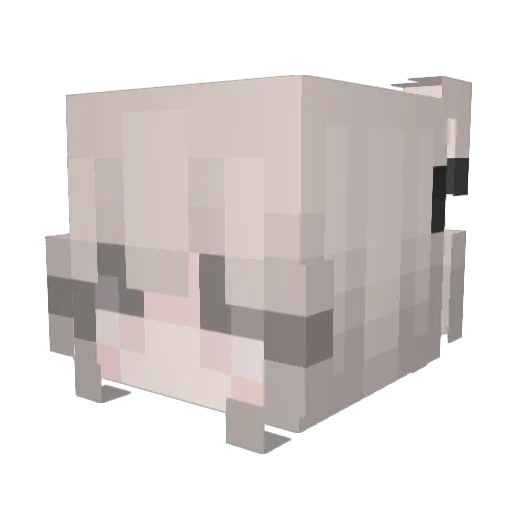 EDATERPOISON Minecraft avatar head, 3D render