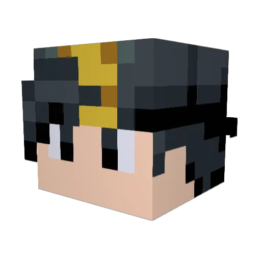 EDC12 Minecraft avatar head, 3D render