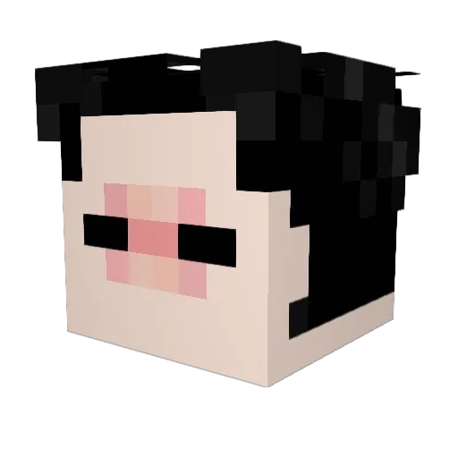 EDDYROGAMER Minecraft avatar head, 3D render