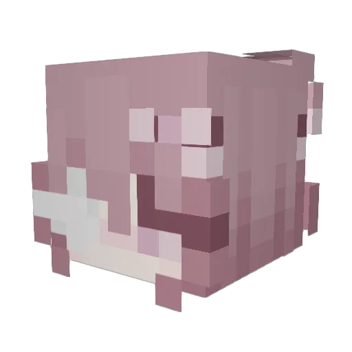 EDGV Minecraft avatar head, 3D render