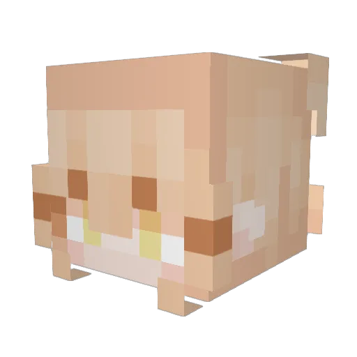 EDOLONCIO Minecraft avatar head, 3D render