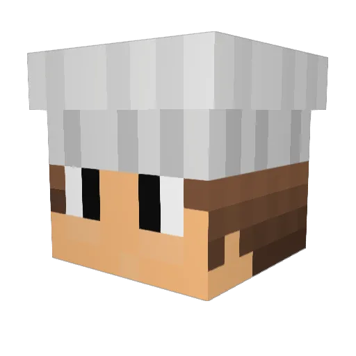 EDUSINATOR Minecraft avatar head, 3D render
