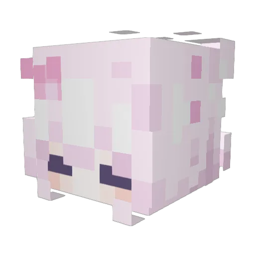 EDVSC Minecraft avatar head, 3D render