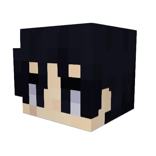 EDYGAMER_8 Minecraft avatar head, 3D render