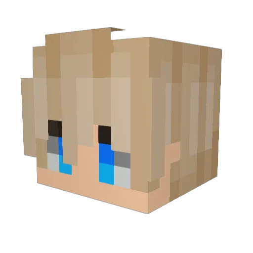 EE1_POTATO Minecraft avatar head, 3D render