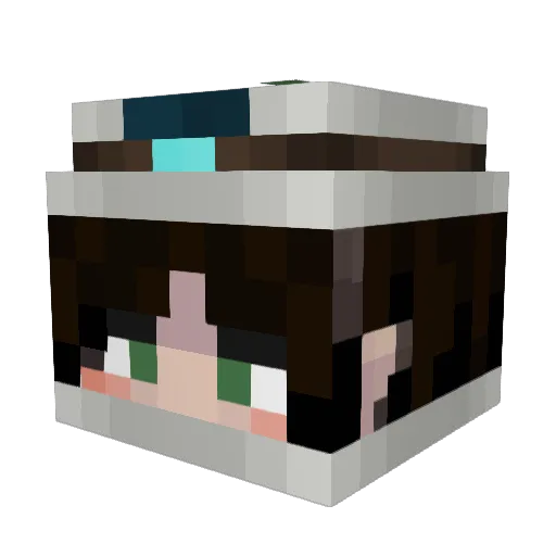 EEE6 Minecraft avatar head, 3D render