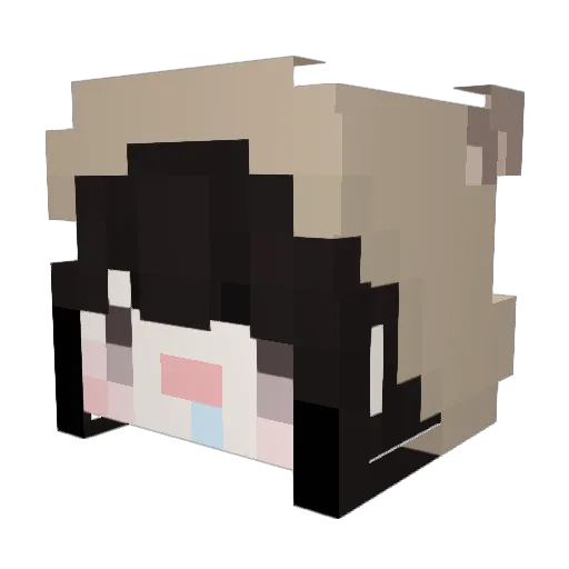 EEEECALI Minecraft avatar head, 3D render