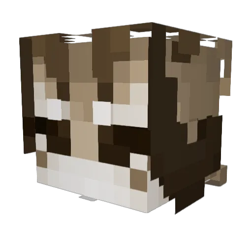 EEEZOE Minecraft avatar head, 3D render