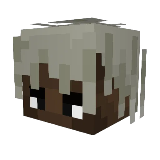 EEExFLEE Minecraft avatar head, 3D render