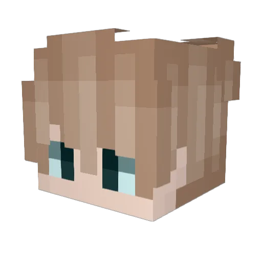 EE_LL Minecraft avatar head, 3D render