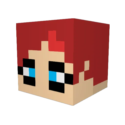 EEconomy Minecraft avatar head, 3D render