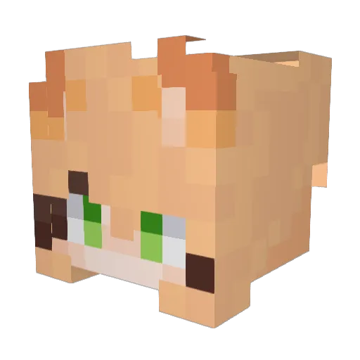 EEinyaa Minecraft avatar head, 3D render