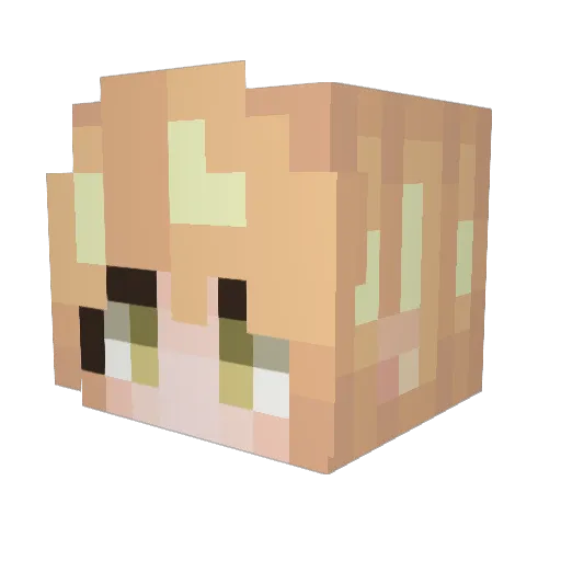 EF1A2D Minecraft avatar head, 3D render