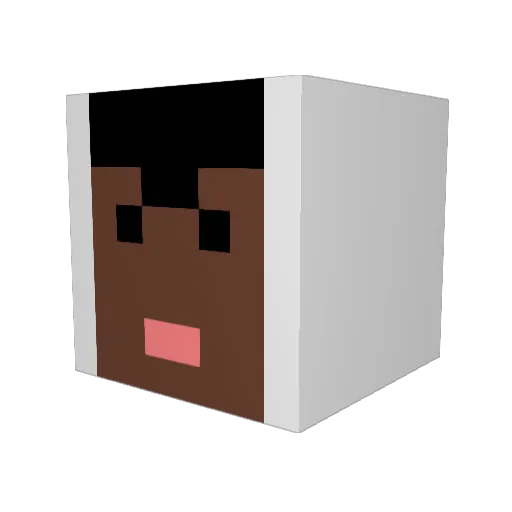 EFAE___1 Minecraft avatar head, 3D render