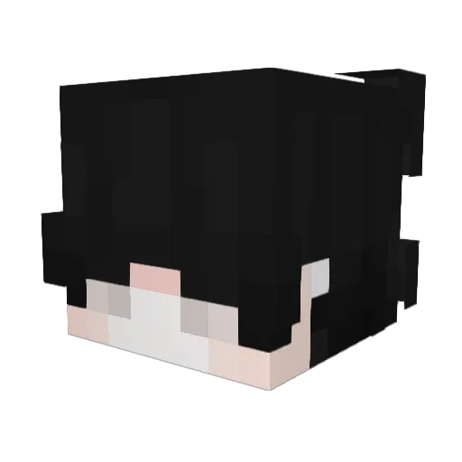 EFEVLR Minecraft avatar head, 3D render