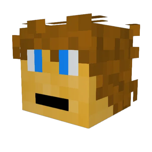 EFarm23 Minecraft avatar head, 3D render