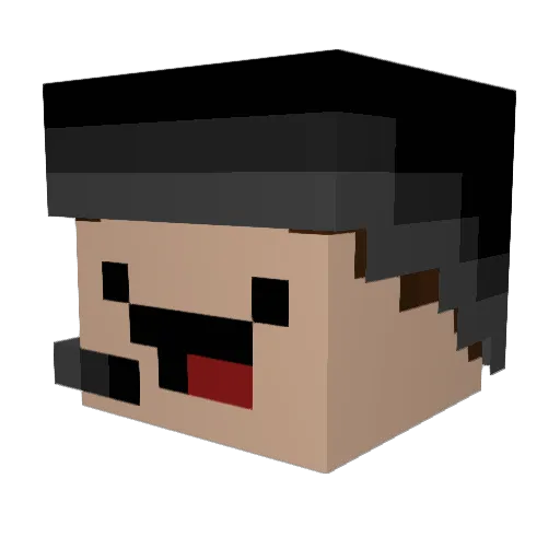 EFriedChickenR Minecraft avatar head, 3D render