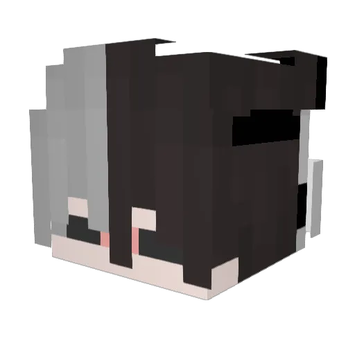 EGE_GAMER_455 Minecraft avatar head, 3D render