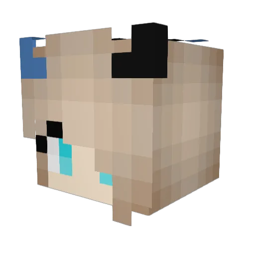 EGOPhobia Minecraft avatar head, 3D render