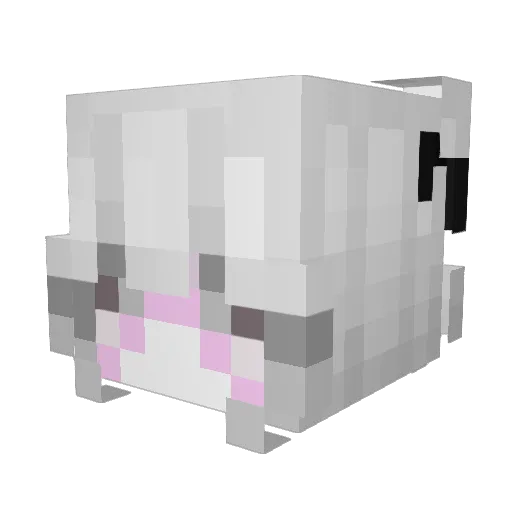 EGirlFlawed Minecraft avatar head, 3D render