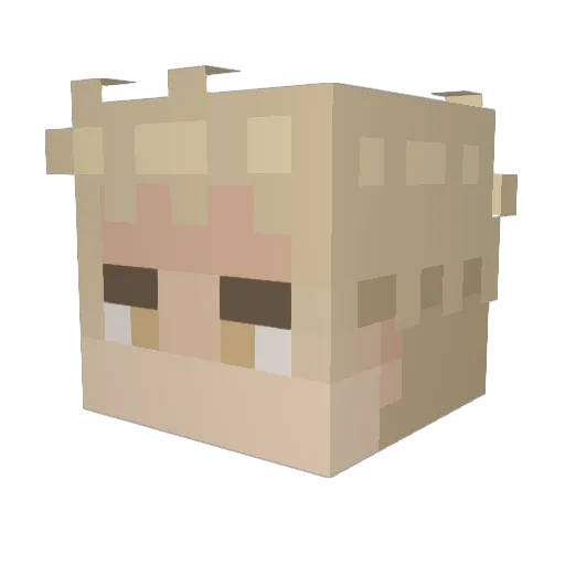 EHICO Minecraft avatar head, 3D render