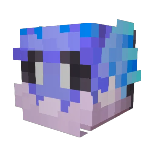 EHRMANTROUT Minecraft avatar head, 3D render