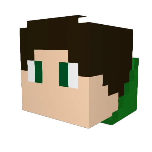 EHSA_ Minecraft avatar head, 3D render